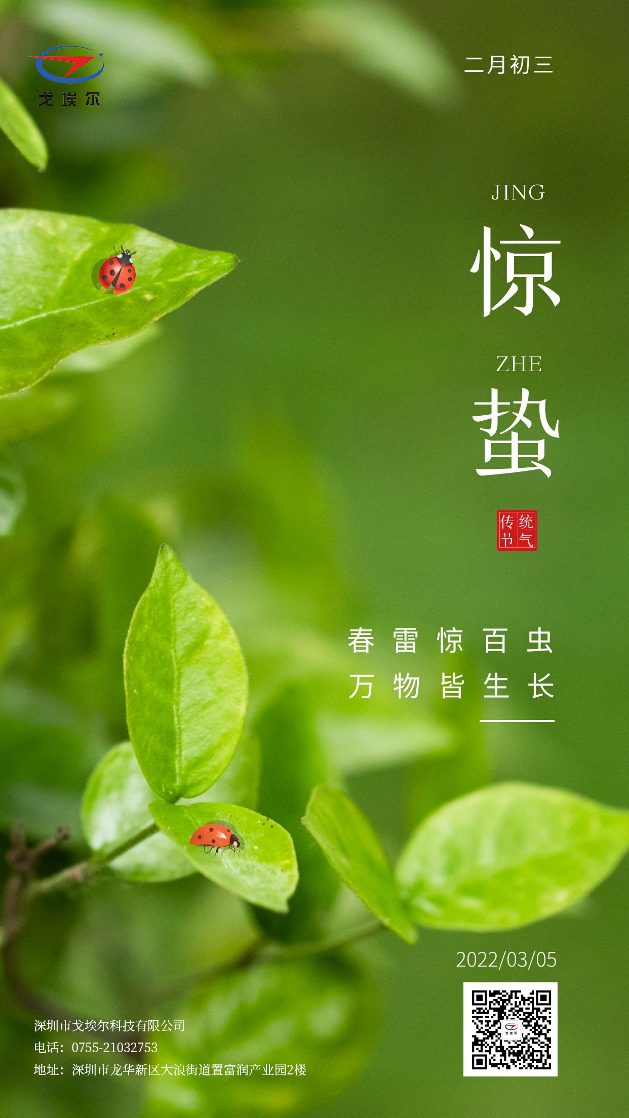 20220305惊蛰 .jpg